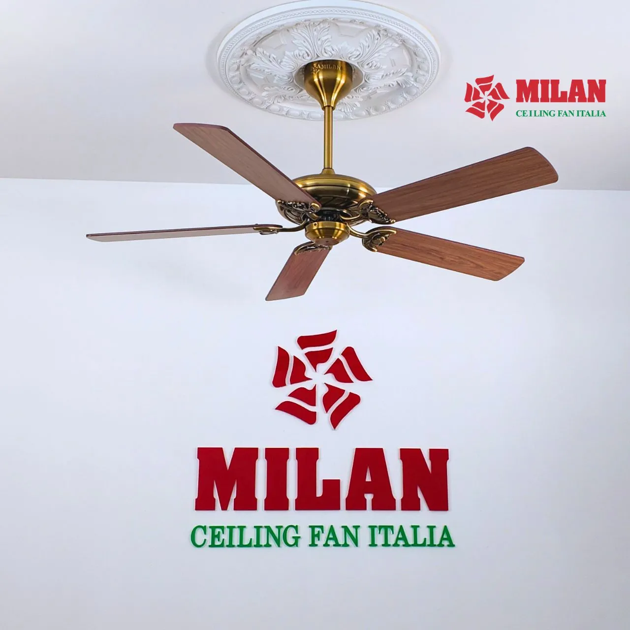 Quạt trần cánh gỗ FY503 KĐ nổi bật với tay bắt cánh hình hoa sen tinh xảo